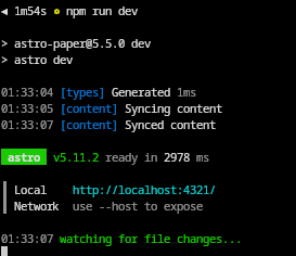 npm run dev