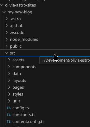your project files in vscodium explore pane